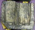 relief, image 1/4