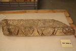 sarcophage, image 1/2