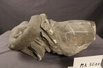 statue, image 2/4
