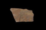 Fragment de vase, image 1/2