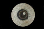 Plat, image 4/4