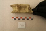 vase ; fragment, image 3/3