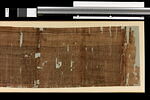 papyrus funéraire, image 3/3