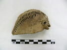 figurine ; fragment, image 1/2