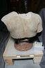 statue en buste, image 2/2
