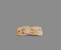 vase, image 10/10