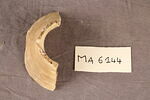 fragment, image 1/3