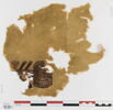 clavus ; fragment, image 1/2