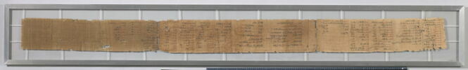 papyrus documentaire, image 4/4