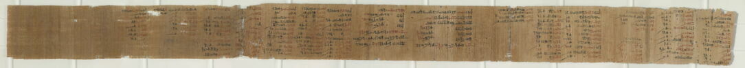 papyrus documentaire, image 2/4