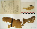 tissu ; fragments ; fragments, image 2/2