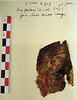 bande décorative d'habillement ; fragment, image 2/2