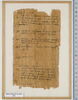 papyrus, image 2/2