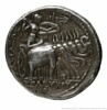 Tétradrachme d'argent de Séleucos Ier Nikator, image 2/2