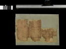 papyrus documentaire, image 2/2