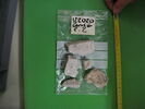 enduit peint, fragment, image 1/2
