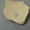 vase, récipient, fragment, image 1/3