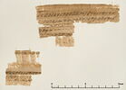 papyrus documentaire, image 2/2