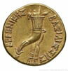 Octodrachme d'or de Ptolémée IV, image 2/2