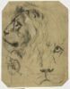 Etudes d'une tête de lion, image 1/2