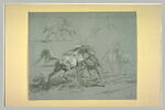 Des chevaux se battant, image 2/2