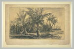 Paysage des Antilles, image 2/2