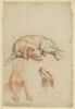 Etudes de chiens, image 1/2