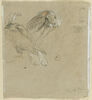 Deux aigles, image 1/2