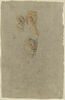 Deux têtes de lion et une patte, image 1/2