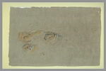 Deux têtes de lion et une patte, image 2/2