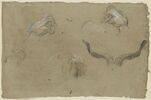 Etudes de cornes et autres études, image 1/2