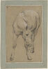 Etude d'un cheval, image 1/2