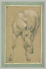 Etude d'un cheval, image 2/2