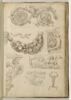 Motifs décoratifs : entrelacs, guirlandes de fruits, grotesques, serpents..., image 1/2