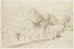 Champs plantés d'arbres et séparés par un mur ; au fond, montagne rocheuse, image 1/2