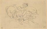 Lion attaquant un cheval et son cavalier, image 1/2