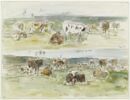 Troupeaux de vaches à Fervaques, image 1/2