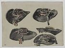Cinq chapeaux de Plougastel, image 1/2