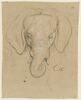 Tête d'éléphant, image 1/2