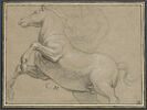 Cheval de profil, galopant vers la gauche, image 1/2