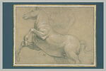 Cheval de profil, galopant vers la gauche, image 2/2