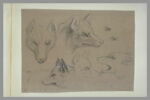 Cinq études de têtes de loup et deux études d'oeil, image 2/2