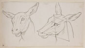 Deux têtes de biche, image 1/2