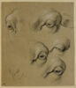 Etudes d'yeux de mouton, image 1/2