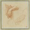 Etudes d'un bras accoudé, et d'un bras replié, image 1/2