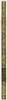 Frontispice : Amantium aliquot paria adumbrata Coloniae divulgante Conrado Golzio, image 4/6